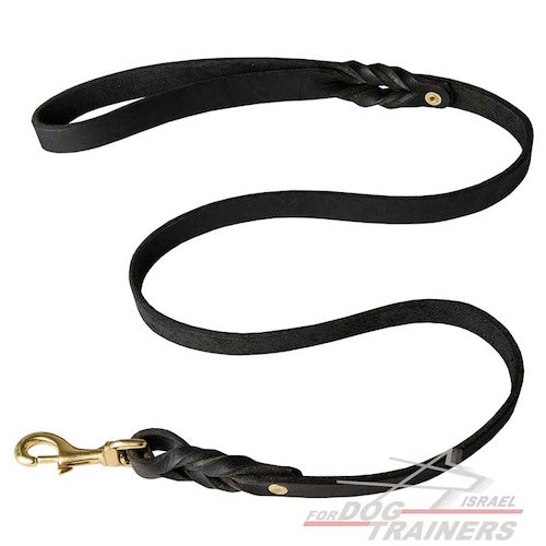 רצועת עור לכלב באיכות גבוהה לטיולים ולאימונים - FOR DOG TRAINERS- ISRAEL