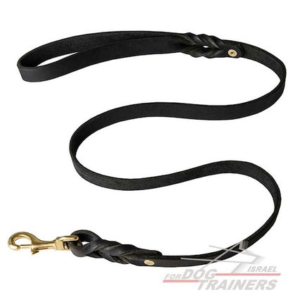 רצועת עור לכלב באיכות גבוהה לטיולים ולאימונים - FOR DOG TRAINERS- ISRAEL