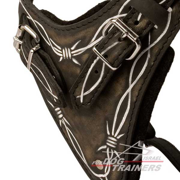 רתמת עור לכלב מתכווננת לאימוני תקיפה ולטיולים - FOR DOG TRAINERS- ISRAEL