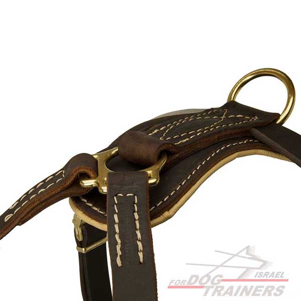 רתמת עור לכלב מעוצבת ומרופדת | לטיולים ולאימונים - FOR DOG TRAINERS- ISRAEL