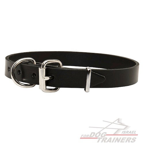 קולר לכלב מעור (2.5 ס"מ רוחב) - FOR DOG TRAINERS- ISRAEL