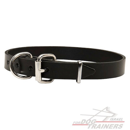 קולר לכלב מעור (2.5 ס"מ רוחב) - FOR DOG TRAINERS- ISRAEL