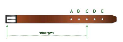 קולר לכלב מעור בצביעה ידנית - גאווה אמריקאית - FOR DOG TRAINERS- ISRAEL