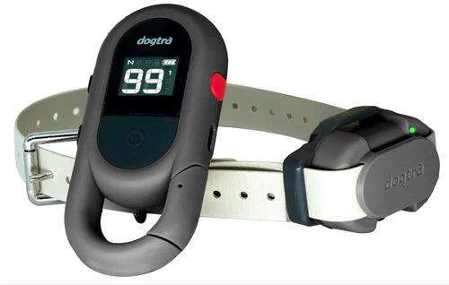 חדש! דוגטרה קולר אלקטרוני- קולר  אילוף חשמלי Dogtra IQ FLEX (CUE GEN2)