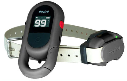 חדש! דוגטרה קולר אלקטרוני- קולר  אילוף חשמלי Dogtra IQ FLEX (CUE GEN2)