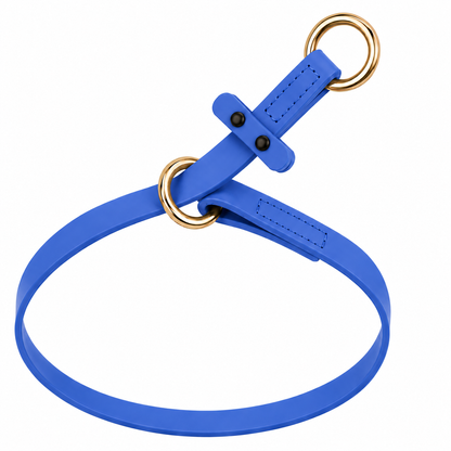 קולר לאסו ביאוטן 13 מ"מ סגול לילך - FOR DOG TRAINERS ישראל