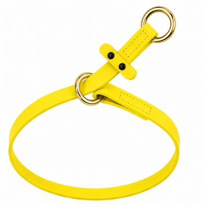 קולר ביאוטן סליפ ירוק 13 מ"מ - FOR DOG TRAINERS ישראל