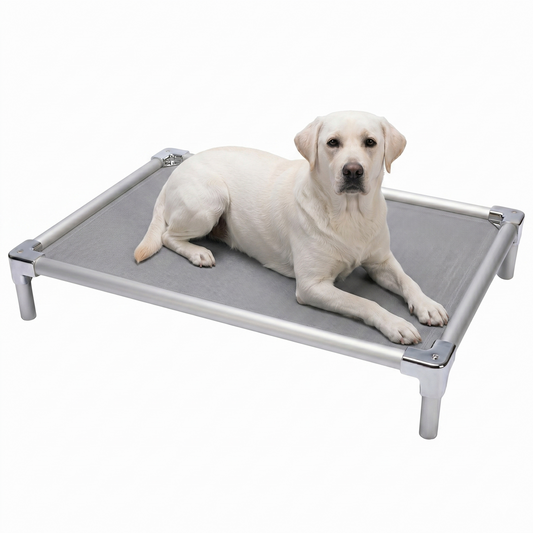 מיטת אלומיניום אורטופדית לברדור