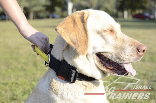 קולר לכלב מניילון מתכוונן לכל מזג-אוויר עם ידית ואבזם לשחרור מהיר - FOR DOG TRAINERS- ISRAEL