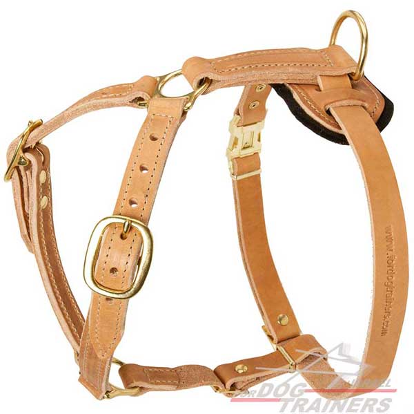 רתמת עור לכלב | לעבודות גישוש ולטיולים - FOR DOG TRAINERS- ISRAEL