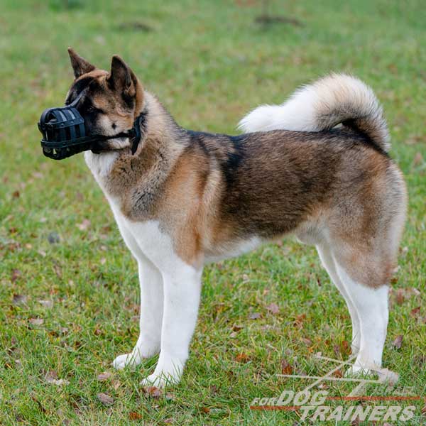 מחסום פה לכלב קל משקל ומאוורר לשימוש יומיומי - FOR DOG TRAINERS- ISRAEL