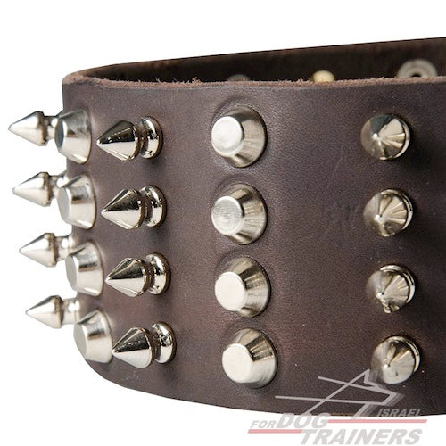 קולר לכלב מעור איכותי - מקושט ומסוגנן - FOR DOG TRAINERS- ISRAEL