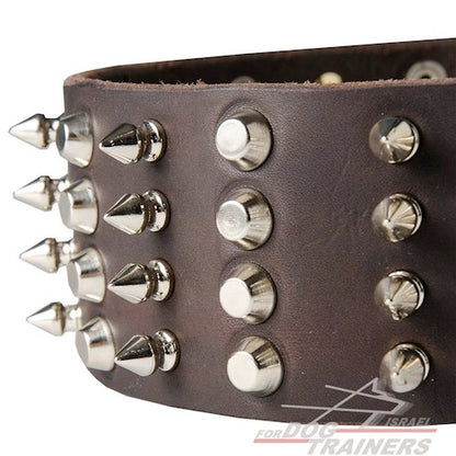 קולר לכלב מעור איכותי - מקושט ומסוגנן - FOR DOG TRAINERS- ISRAEL