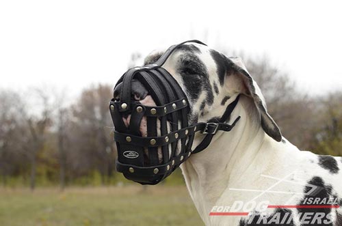 מחסום פה לכלב קל משקל ומאוורר לשימוש יומיומי - FOR DOG TRAINERS- ISRAEL