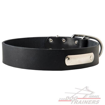 קולר עור עם תג שם בחריטה אישית! - FOR DOG TRAINERS- ISRAEL