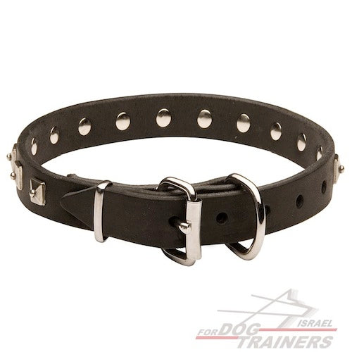 קולר עור לכלבים קטנים- בינוניים - FOR DOG TRAINERS- ISRAEL