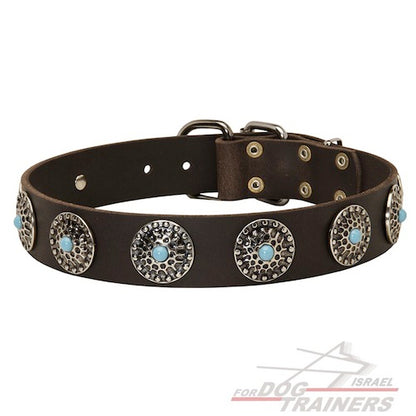 קולר לכלב מעור - בעיצוב אופנתי בלעדי - FOR DOG TRAINERS- ISRAEL