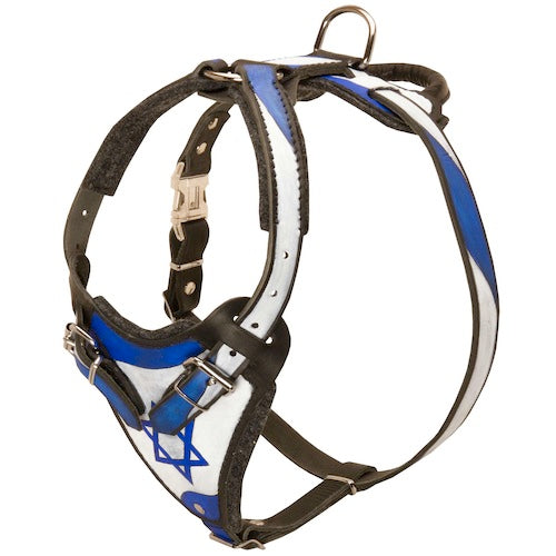 רתמת עור לכלב "ארץ הקודש" לגישוש ולהליכות - FOR DOG TRAINERS- ISRAEL