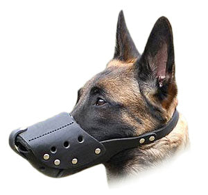 זמם לכלב מעור קל לתפעול לטיולים לגזעי כלבים בינוניים - FOR DOG TRAINERS- ISRAEL