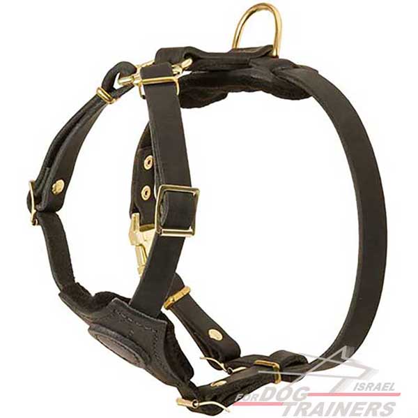 רתמת עור לכלב, מיועדת לגורים | לאימונים, טיולים ולגישוש - FOR DOG TRAINERS- ISRAEL
