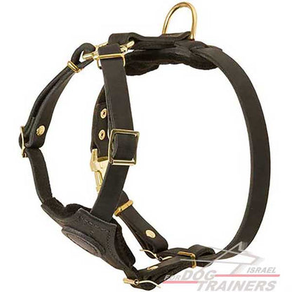 רתמת עור לכלב, מיועדת לגורים | לאימונים, טיולים ולגישוש - FOR DOG TRAINERS- ISRAEL