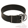 קולר עור לכלבים בינוניים וגדולים- 5 ס"מ רוחב - FOR DOG TRAINERS- ISRAEL