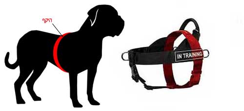 רתמה לכלב מניילון לסחיבה / גרירה, גישוש, חיפוש והצלה ולאימונים - FOR DOG TRAINERS- ISRAEL
