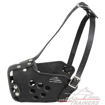 מחסום פה צבאי לכלב לאימונים, משטרה, תקיפה - FOR DOG TRAINERS- ISRAEL