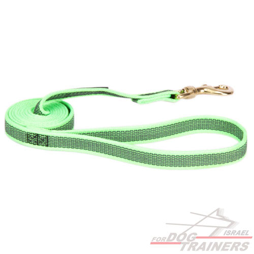 חדש! רצועת אחיזה מניילון חזק במיוחד - FOR DOG TRAINERS- ISRAEL