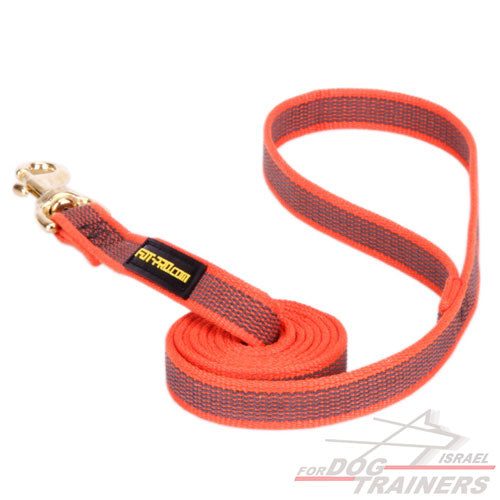 רצועת הליכה מניילון חזק לכלבים בינונים וגדולים - FOR DOG TRAINERS- ISRAEL