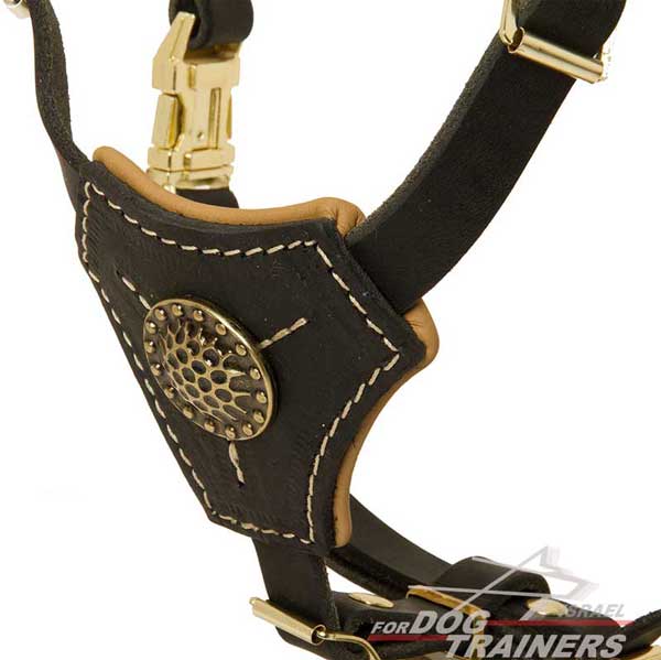 רתמת עור לכלב מיועדת לגורים ולגזעים קטנים - פרנץ' בולדוג - FOR DOG TRAINERS- ISRAEL