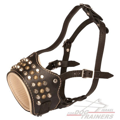 מחסום פה מלכותי לכלב עם ניטים ופירמידות - FOR DOG TRAINERS- ISRAEL