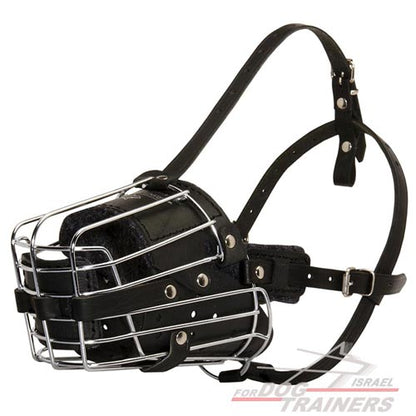 מחסום פה לכלב עשוי מתכת מרושת ומרופד לכלב לאימונים - FOR DOG TRAINERS- ISRAEL