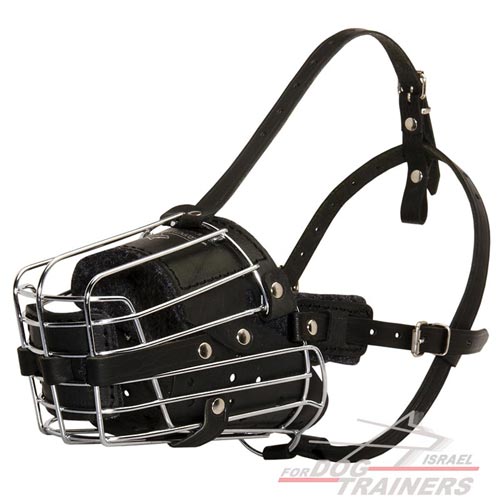מחסום פה לכלב עשוי מתכת מרושת ומרופד לכלב לאימונים - FOR DOG TRAINERS- ISRAEL