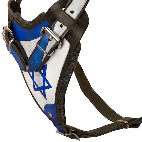 רתמת עור לכלב "ארץ הקודש" לגישוש ולהליכות - FOR DOG TRAINERS- ISRAEL