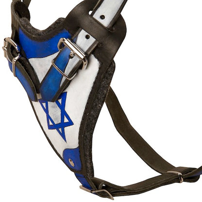 רתמת עור לכלב "ארץ הקודש" לגישוש ולהליכות - FOR DOG TRAINERS- ISRAEL