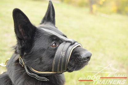 מחסום פה לכלב בסגנון מלכותי בצורת לולאה מרופד בעור נאפה - FOR DOG TRAINERS- ISRAEL