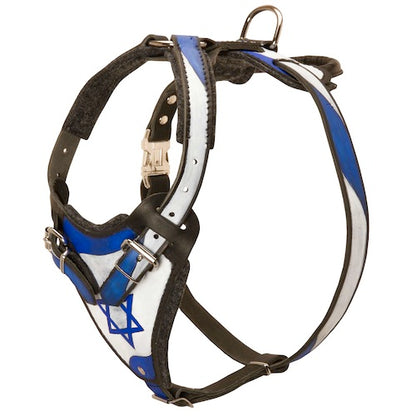 רתמת עור לכלב "ארץ הקודש" לגישוש ולהליכות - FOR DOG TRAINERS- ISRAEL