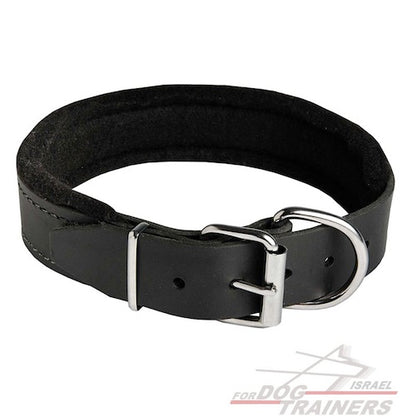 קולר לכלב מרופד מעור- רוחב 4.5 ס"מ - FOR DOG TRAINERS- ISRAEL