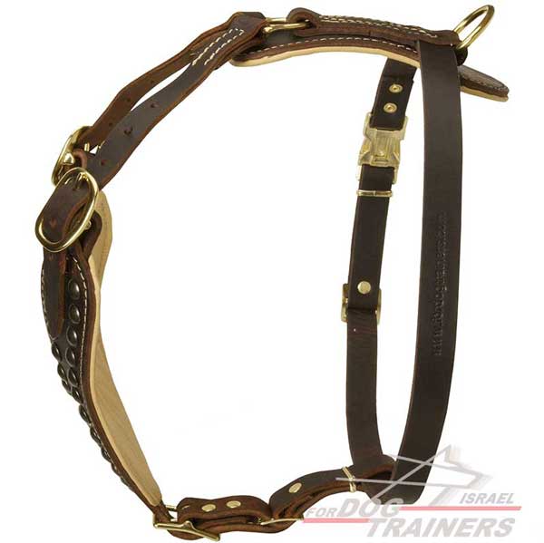 רתמת עור לכלב מעוצבת ומרופדת | לטיולים ולאימונים - FOR DOG TRAINERS- ISRAEL
