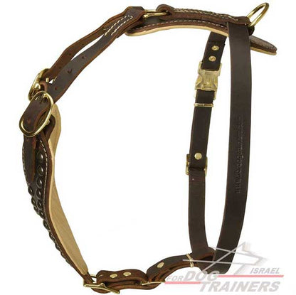 רתמת עור לכלב מעוצבת ומרופדת | לטיולים ולאימונים - FOR DOG TRAINERS- ISRAEL