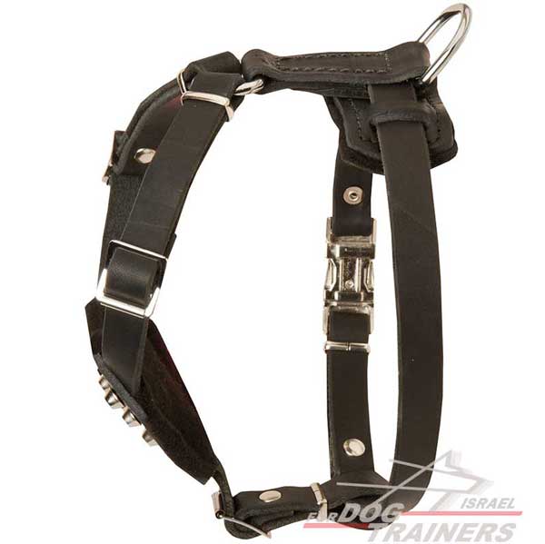 רתמת עור לכלב אופנתית עם ניטים מתאימה לכלבים קטנים- פרנץ' בולדוג - FOR DOG TRAINERS- ISRAEL