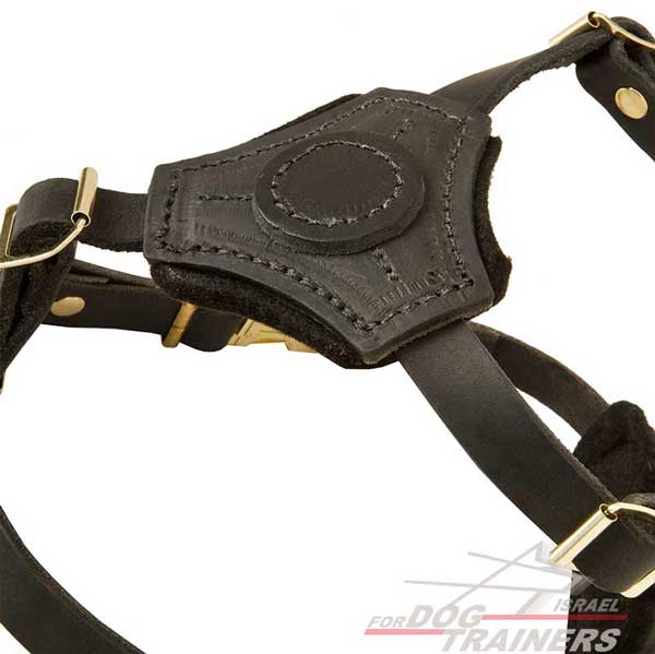 רתמת עור לכלב, מיועדת לגורים | לאימונים, טיולים ולגישוש - FOR DOG TRAINERS- ISRAEL