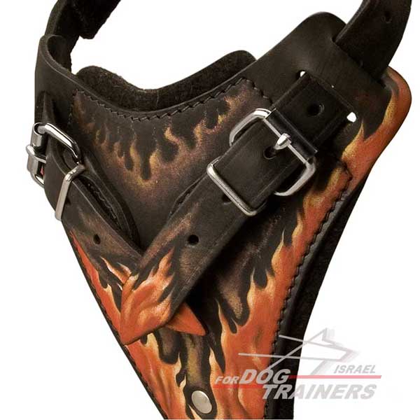 רתמת עור לכלב בצביעה ידנית לאימוני תקיפה | עם רצועות מתכווננות - FOR DOG TRAINERS- ISRAEL