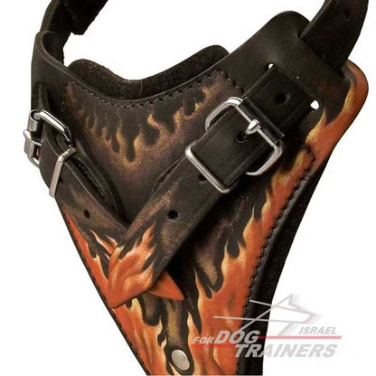 רתמת עור לכלב בצביעה ידנית לאימוני תקיפה | עם רצועות מתכווננות - FOR DOG TRAINERS- ISRAEL