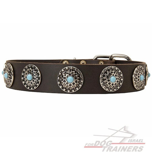 קולר לכלב מעור - בעיצוב אופנתי בלעדי - FOR DOG TRAINERS- ISRAEL