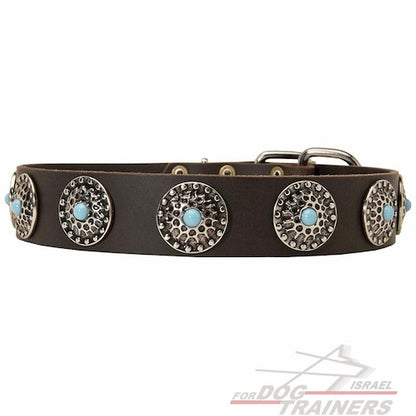 קולר לכלב מעור - בעיצוב אופנתי בלעדי - FOR DOG TRAINERS- ISRAEL