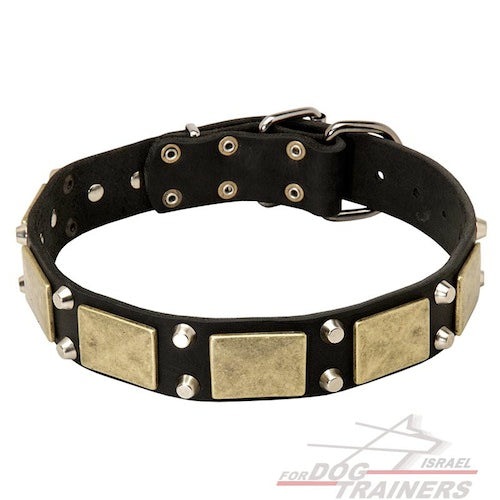 קולר לכלב מדהים מסגנון מלחמתי-אצילי - FOR DOG TRAINERS- ISRAEL