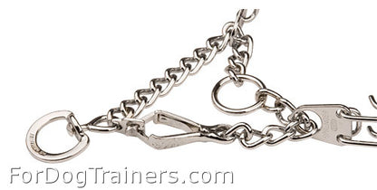 קולר דוקרנים לכלבים בינוניים+ אבזם לשחרור מהיר - FOR DOG TRAINERS- ISRAEL