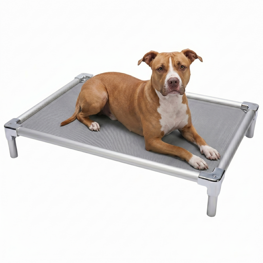 מיטת אלומיניום אורטופדית לפיטבול